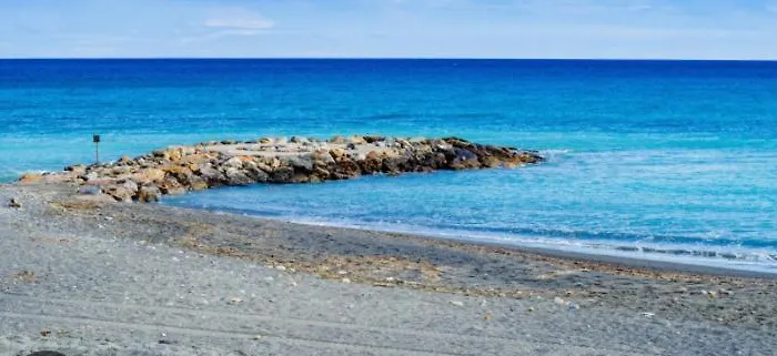 Romantic Chic Loae *