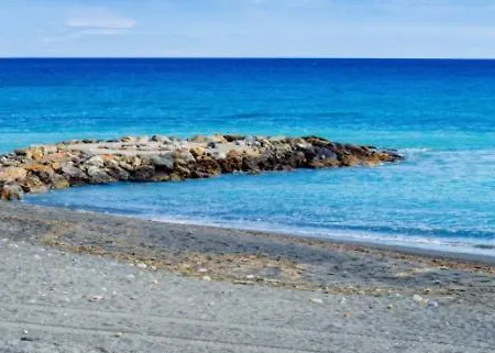 Romantic Chic Loae *